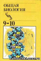 13 вариантов круглой 18 13 вариантов круглой 988